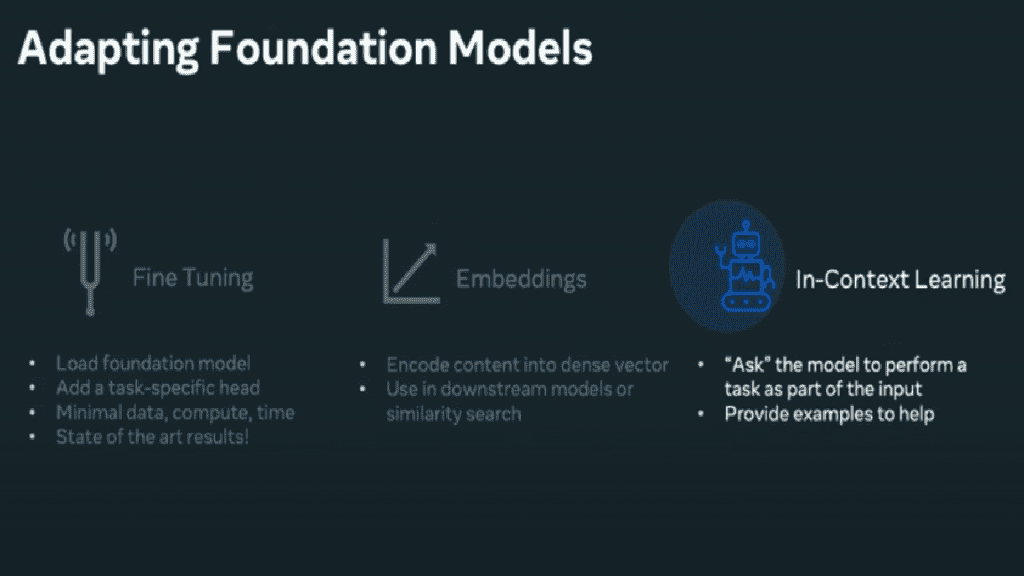 Adapting Foundation Models 