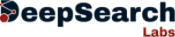 DeepSearch Labs