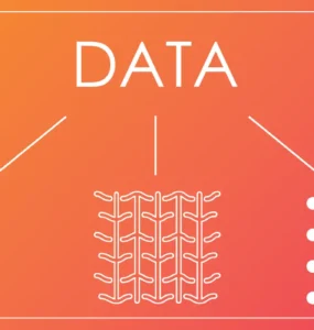 Building Resilient Data Ecosystems: The Role of Data Mesh and Fabric in Scalability