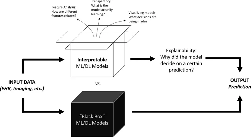 Black Box AI Models vs Interpretable and Explainable AI Models